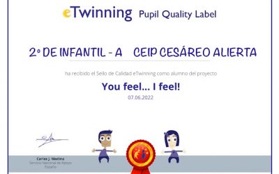 YOU FEEL… I FELL! CONSIGUE EL SELLO DE CALIDAD NACIONAL ETWINNING