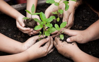 VEN A PLANTAR CON NOSOTROS EN EL BOSQUE DE LOS ZARAGOZANOS