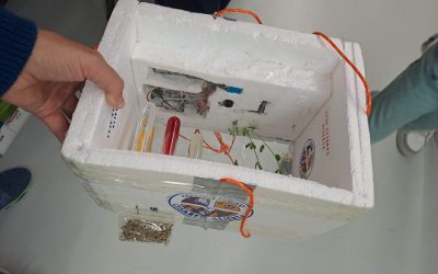 EL SATÉLITE DEL ALIERTA LISTO PARA EL LANZAMIENTO