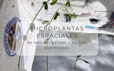 LOS RESULTADOS DEL SATÉLITE