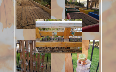 ¡NUESTRO HUERTO LISTO PARA EL OTOÑO!