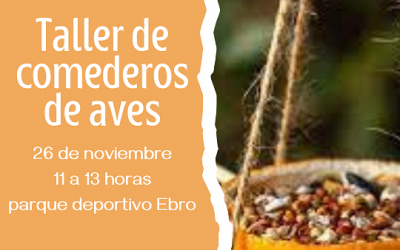 TALLER DE COMEDEROS DE AVES