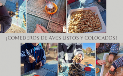 COMEDEROS DE AVES LISTOS PARA EL INVIERNO