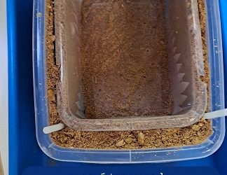 CÁPSULA ZERO WASTE ALIERTA