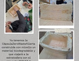 ¿QUÉ OS PARECE COMO HA QUEDADO NUESTRA CÁPSULA DE MICELIO?